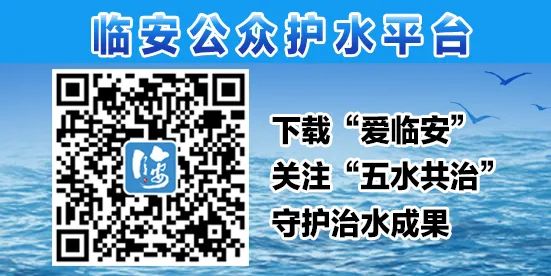 美哭了！临安这些校园深秋美景上线，谁是你眼中最美？