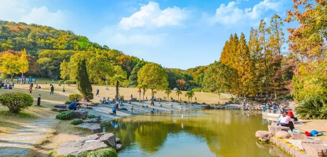 舟山市旅游景点(桂花飘香) - 悦闻天下