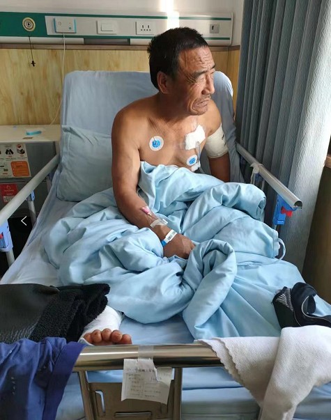 黑龍江男子地裡收黃豆，迎面來了一個四百多斤的大傢伙！ 已經來不及躲了……