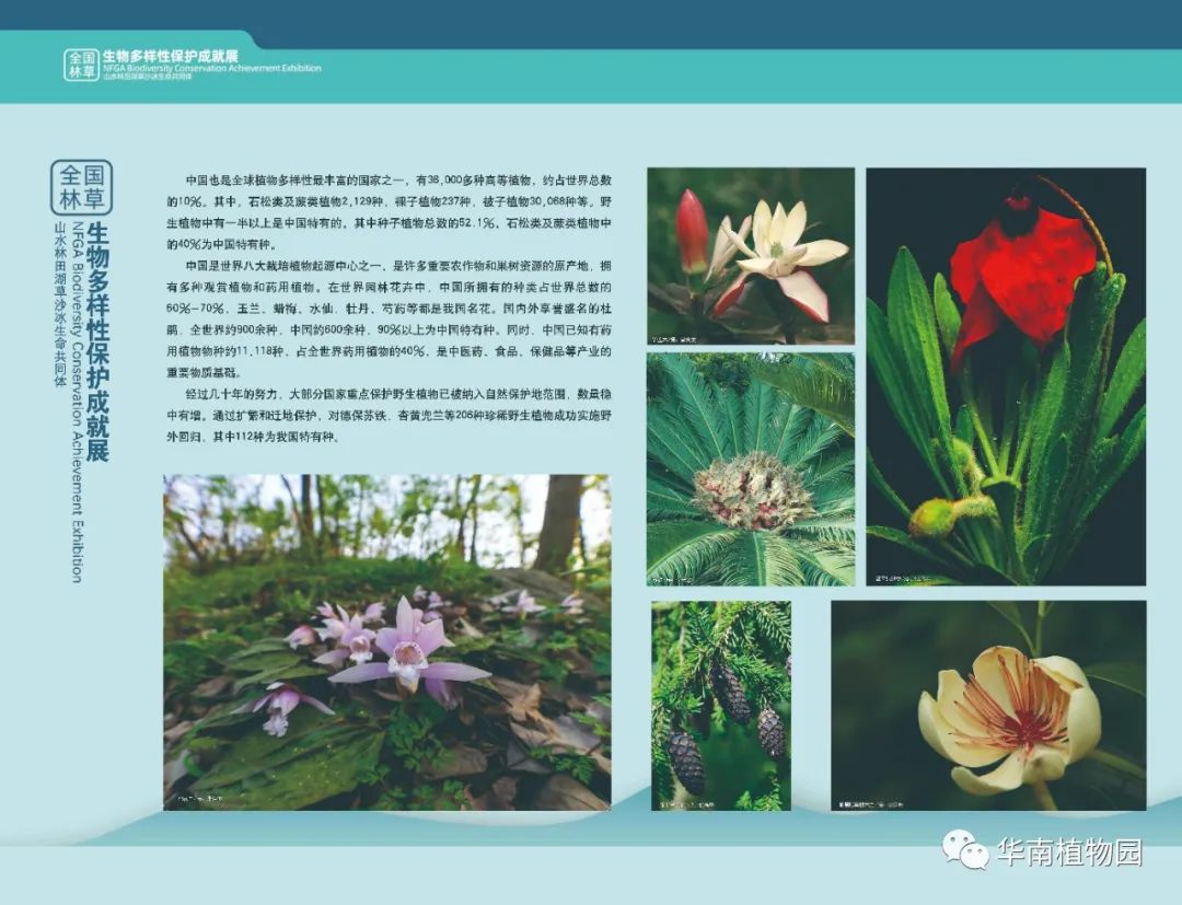 嗨，科学！这个周末来华南植物园吧！