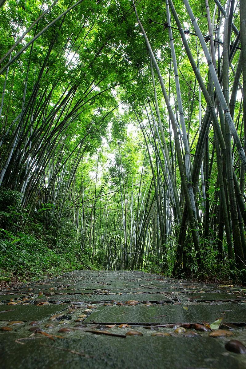 远离回南天，这里给你“欧陆风光”特有的清爽 | 春节在广西怎么玩