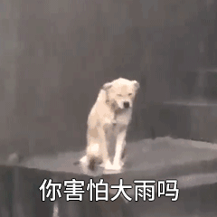 ꣡꣡ϵգ