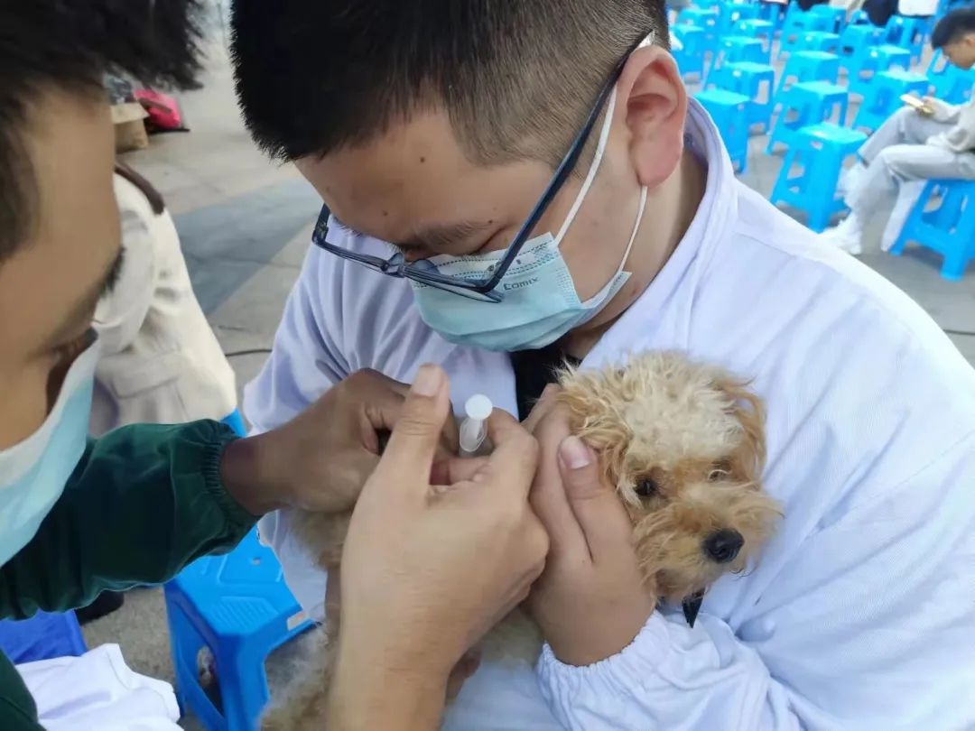 《丽水市城市养犬管理规定》颁布一周年宣传活动——文明养犬进社区第一站万地广场