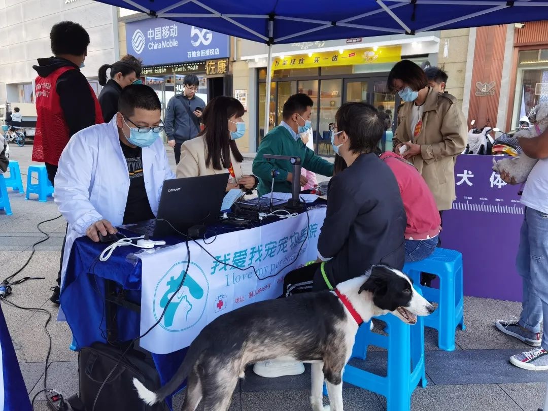 《丽水市城市养犬管理规定》颁布一周年宣传活动——文明养犬进社区第一站万地广场