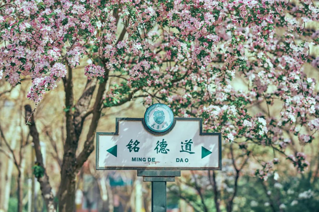 天大报考点，代码1232！今天开始，等你确认！