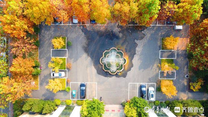 山东现代学院怎么样（金色满园落叶缤纷）