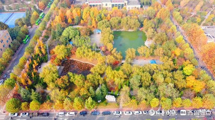 金色满园落叶缤纷！秋日美景上线，济南这所大学美出了圈