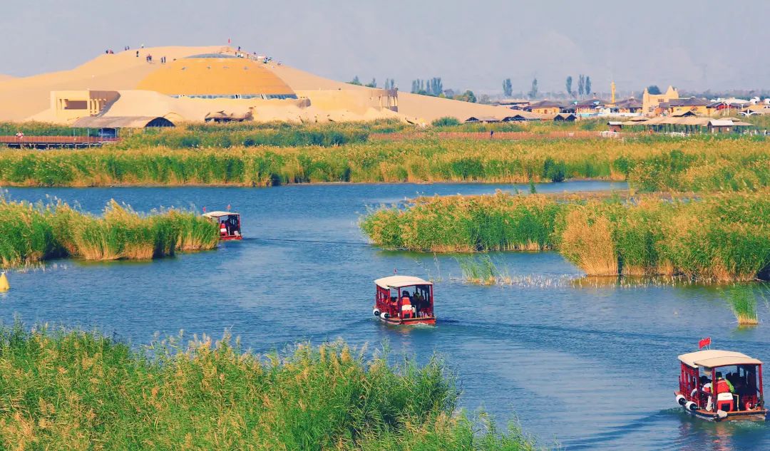 线上游宁夏|苇花绵延,候鸟蹁跹的秋日沙湖,一起来看看它到底有多美