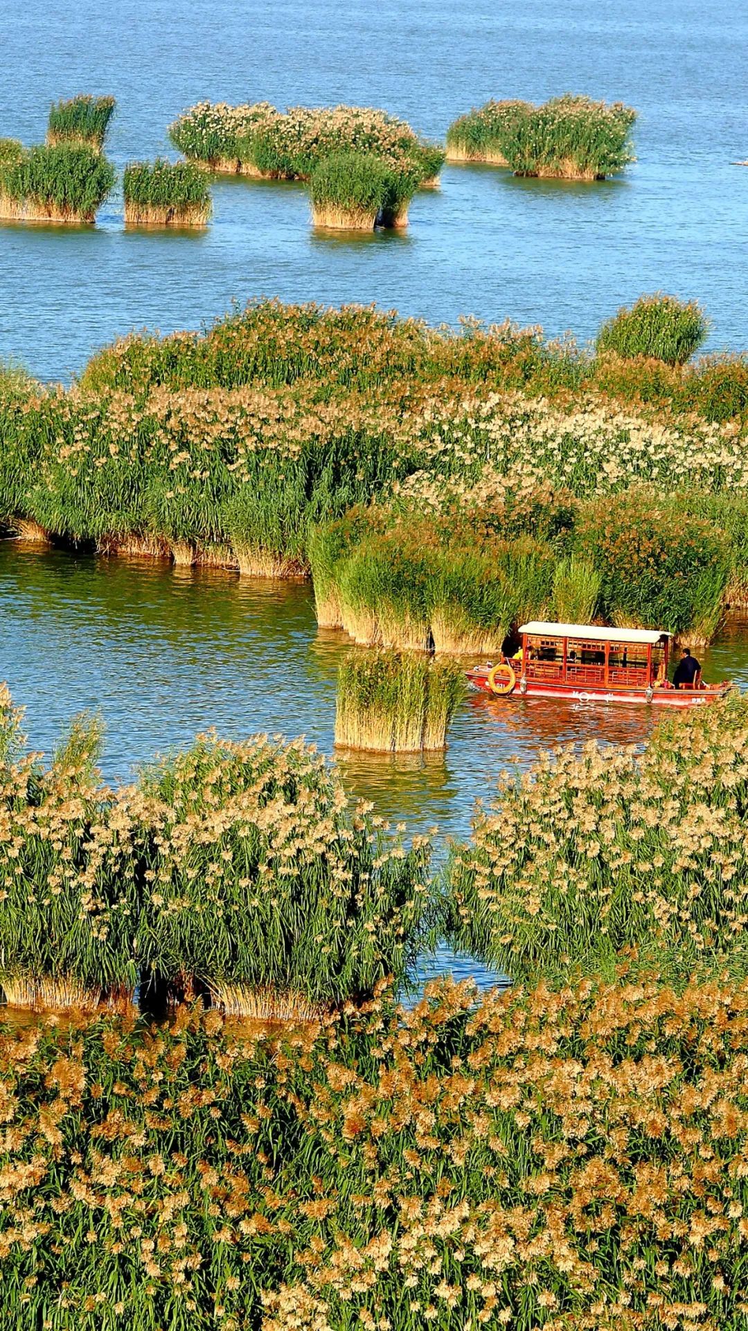 宁夏沙湖旅游景点介绍(线上游宁夏) - 悦闻天下