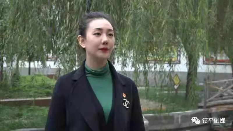 镇平：认真学习贯彻省第十一次党代会精神