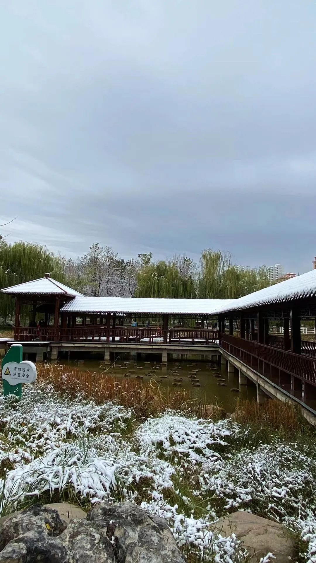 河北2地中小学、幼儿园明日停课,大雪+暴雪+大暴雪,局地降幅超20℃