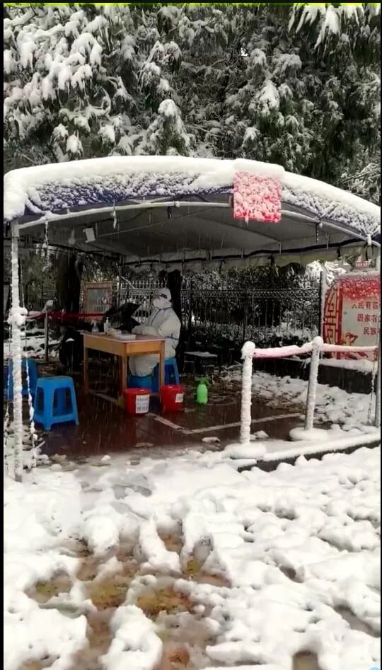 河北2地中小学、幼儿园明日停课，大雪+暴雪+大暴雪，局地降幅超20℃