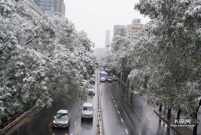 河北2地中小学、幼儿园明日停课，大雪+暴雪+大暴雪，局地降幅超20℃