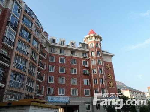 西山小区 VS 杏花里在金州谁更胜一筹？