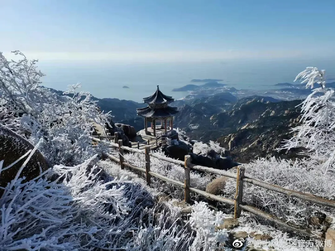 崂山初雪、绝美雾凇、满城银妆.....“冻”住的青岛好仙