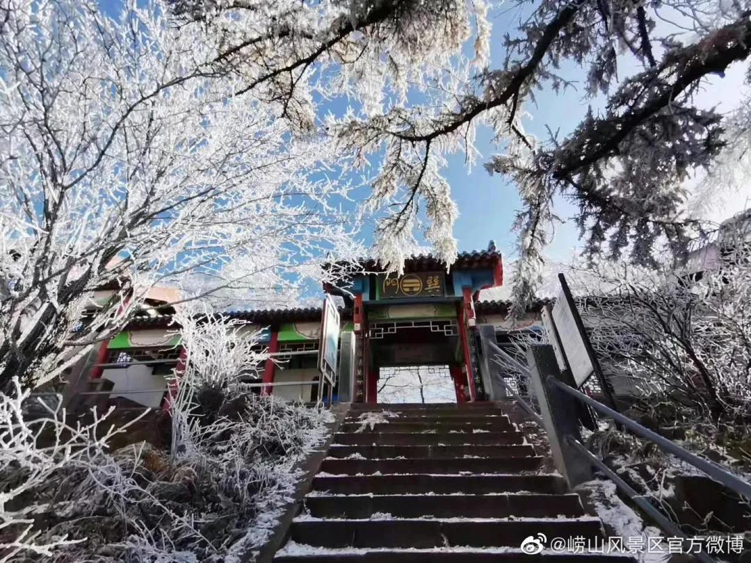 崂山初雪、绝美雾凇、满城银妆.....“冻”住的青岛好仙