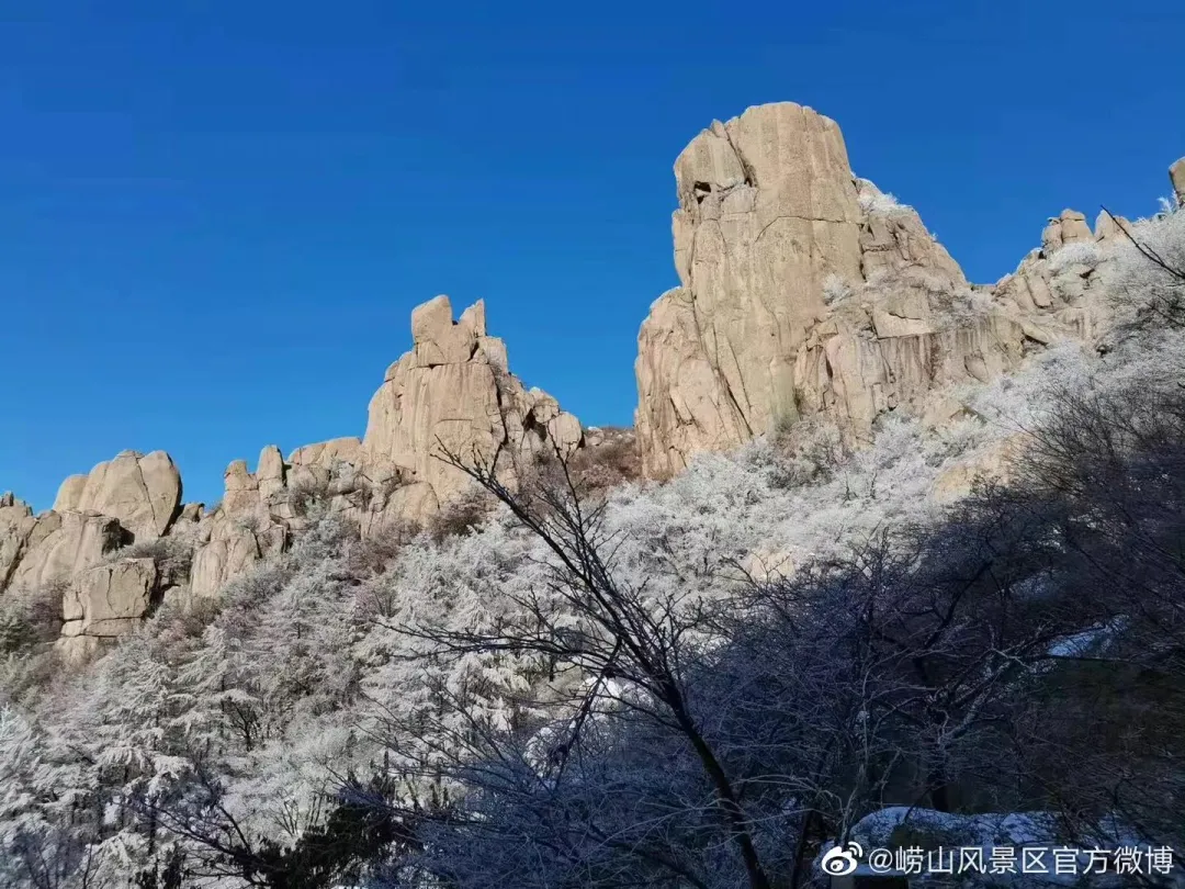 崂山初雪、绝美雾凇、满城银妆.....“冻”住的青岛好仙