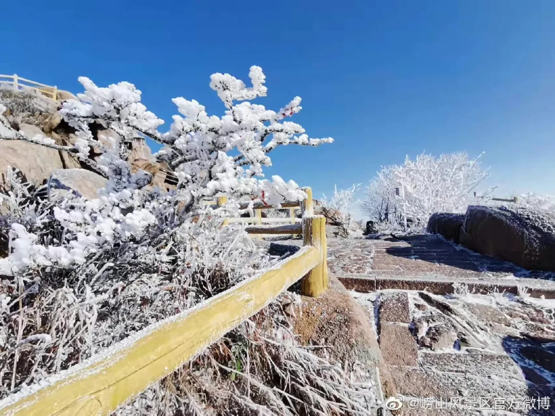 崂山初雪、绝美雾凇、满城银妆.....“冻”住的青岛好仙