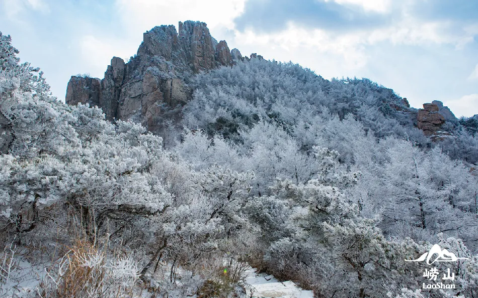 崂山初雪、绝美雾凇、满城银妆.....“冻”住的青岛好仙