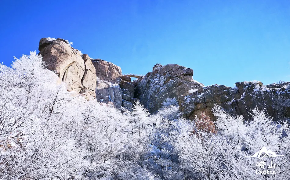 崂山初雪、绝美雾凇、满城银妆.....“冻”住的青岛好仙