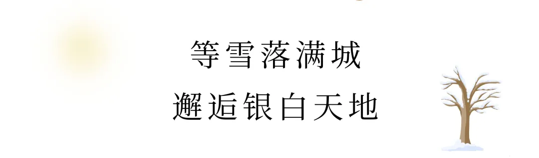 崂山初雪、绝美雾凇、满城银妆.....“冻”住的青岛好仙