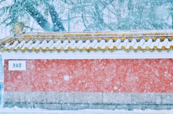 崂山初雪、绝美雾凇、满城银妆.....“冻”住的青岛好仙