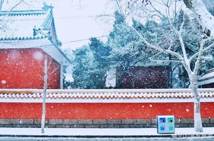 崂山初雪、绝美雾凇、满城银妆.....“冻”住的青岛好仙