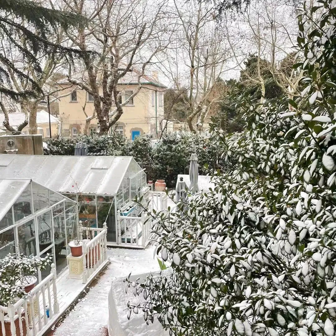 崂山初雪、绝美雾凇、满城银妆.....“冻”住的青岛好仙