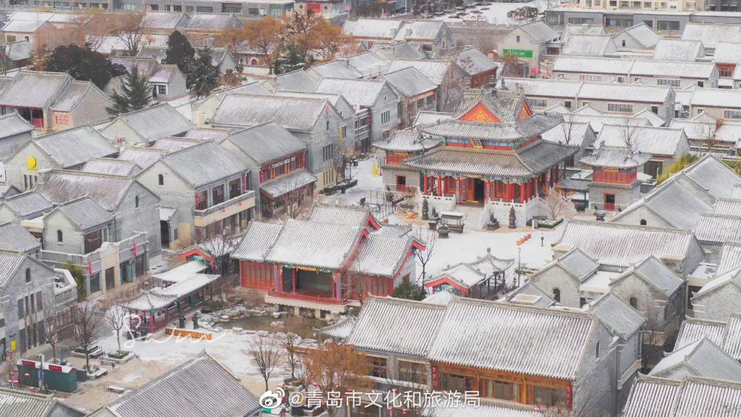 崂山初雪、绝美雾凇、满城银妆.....“冻”住的青岛好仙