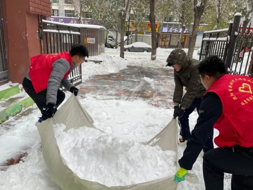 雏鹰实验小学家校携手共除雪(图5)