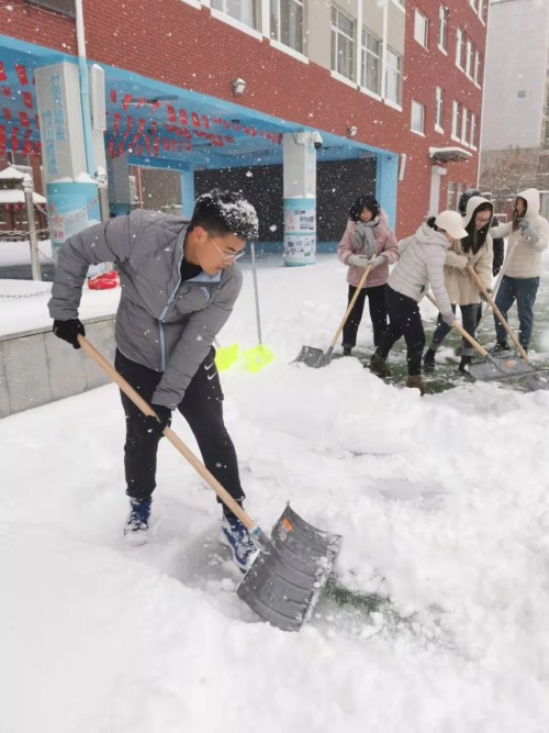 雏鹰实验小学家校携手共除雪(图6)