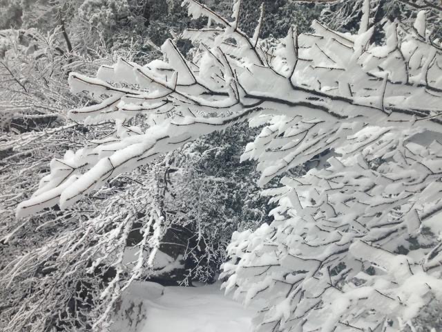 暴雪席卷东北和内蒙，专家分析成因，市民：“希望有更多铲雪车”