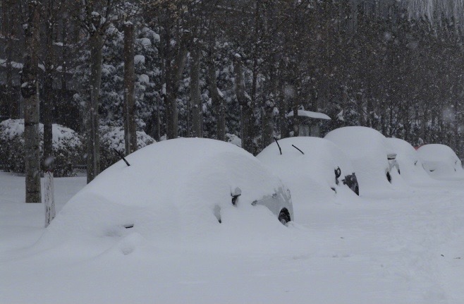 暴雪席卷东北和内蒙，专家分析成因，市民：“希望有更多铲雪车”