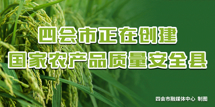 家长注意！2022年四会市小学一年级网上报名操作指引来啦！