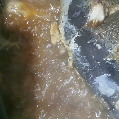 清燉魚,清燉魚怎么做好吃又簡單方便