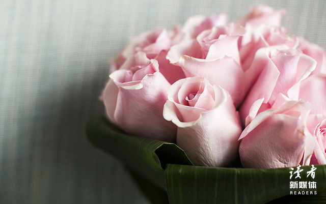 10个关于玫瑰的惊艳句子，愿生活烂漫如花