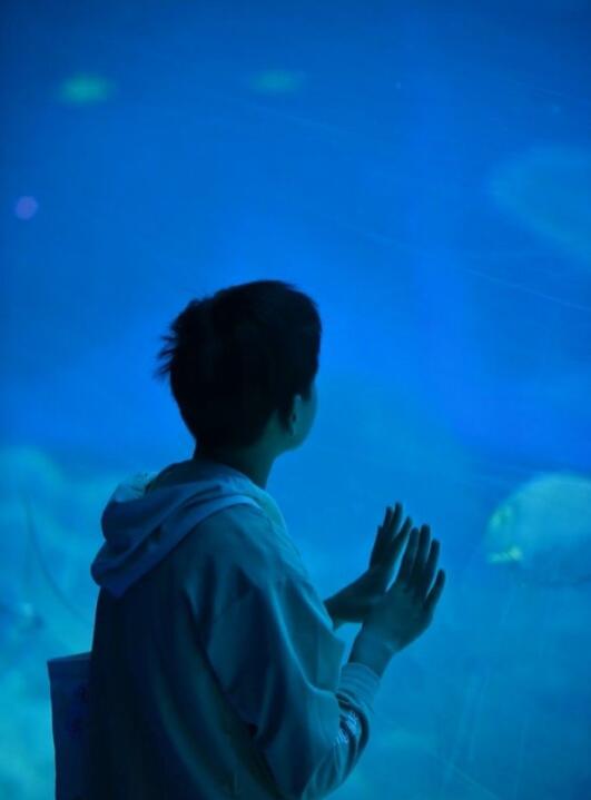 全红婵与跳水小队现身海洋馆，网友：怎么长这么高了