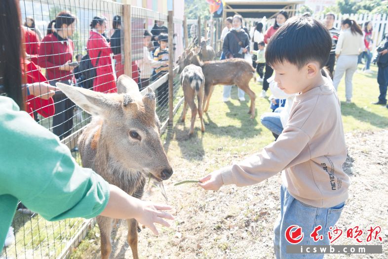 长沙景区，长沙各个景区吸引游客前来打卡