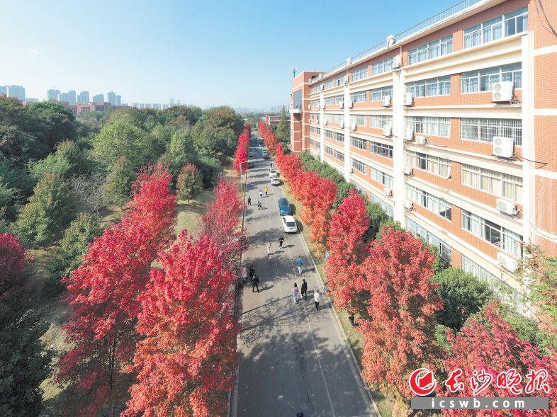 暖阳相伴好出游 长沙各个景区吸引游客前来打卡