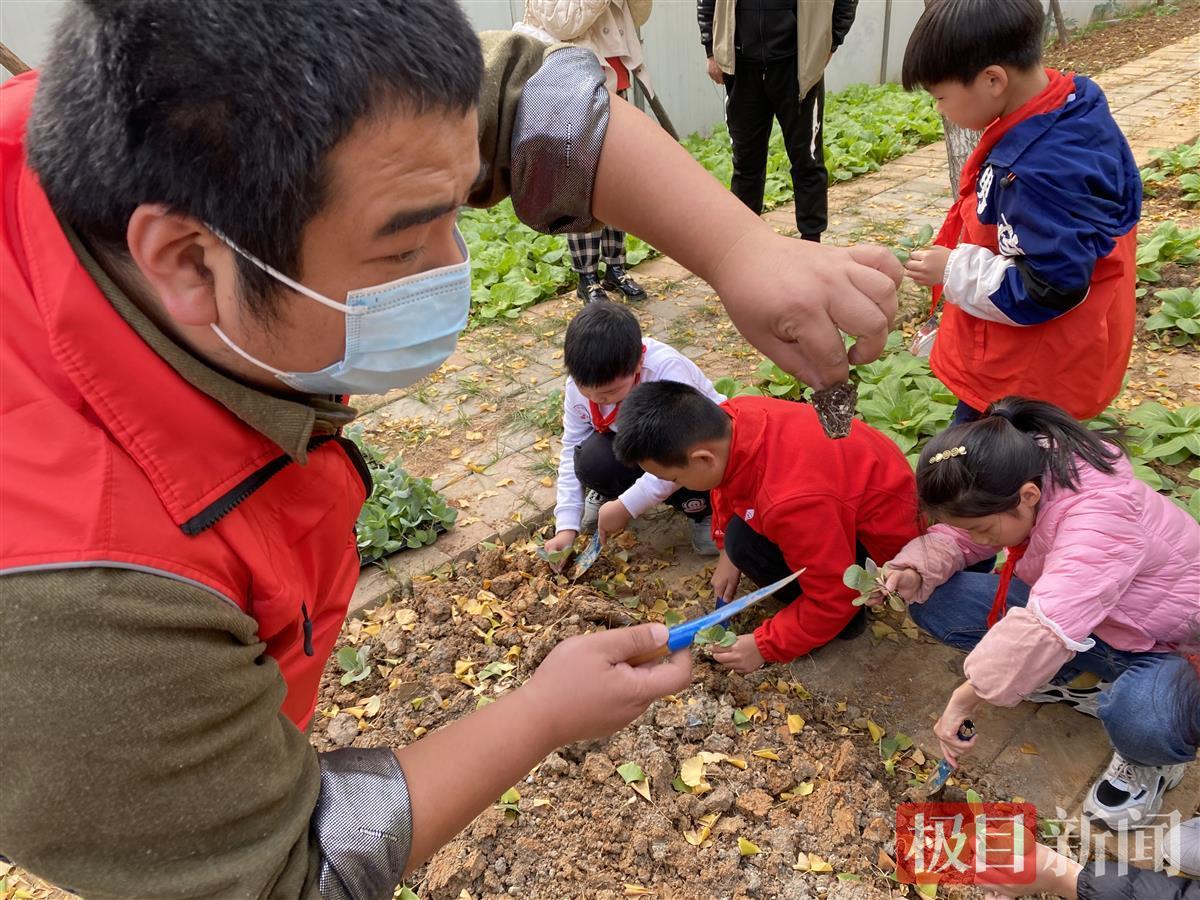 苗菜种植,徐州上谷科技芽苗菜种植