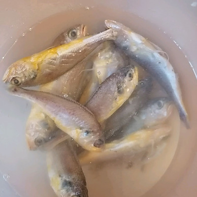 好吃到舔盤的另類烤魚，吃一次就上癮