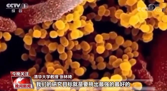 �ҹ��¹���Чҩ���ˡ�ʱ�����