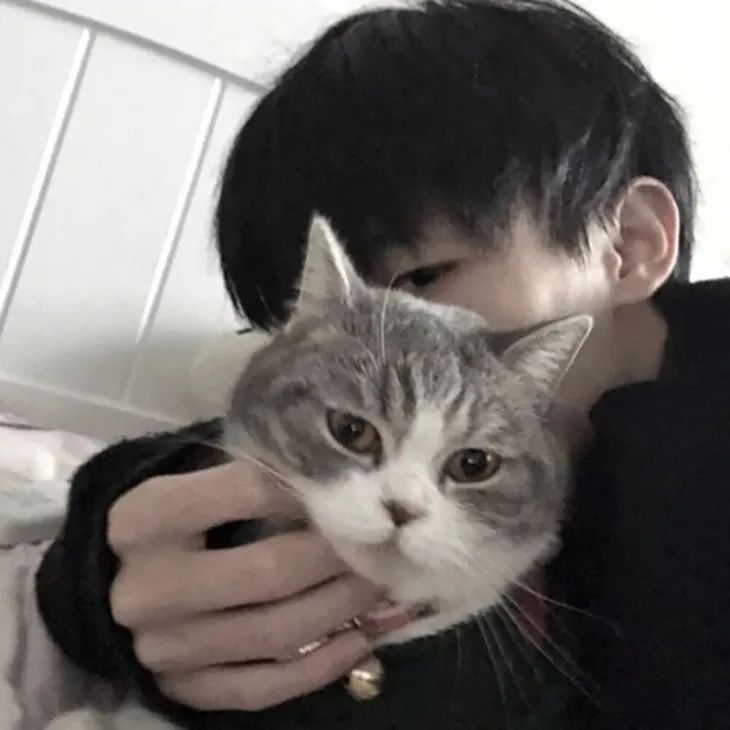 多是小奶狗性格,给人一种温温柔柔又憨憨可爱的形象,是个乖巧的小暖男