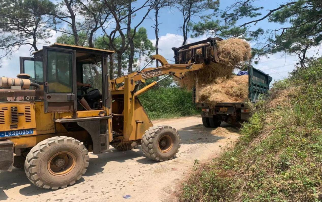 “秸”盡其用 變廢為寶——福綿區(qū)大力推進秸稈綜合利用