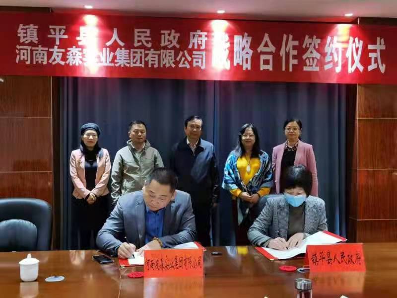 镇平打造国家级托育示范城市