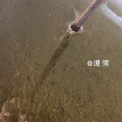 豬肉丸子的做法及配方,豬肉丸子的做法及配方視頻