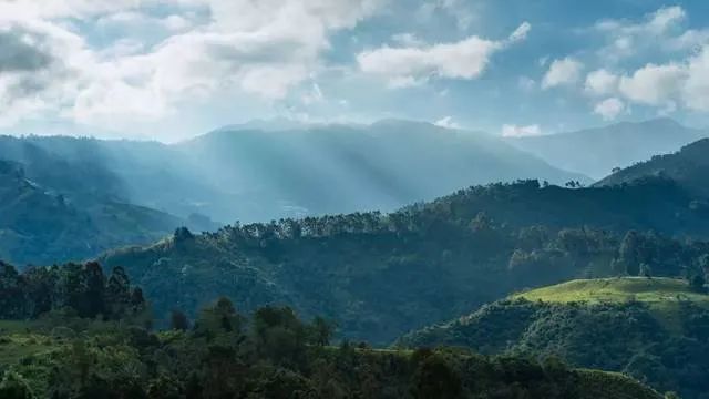 自为青城客，不唾青城地。为爱丈人山，丹梯近幽意~