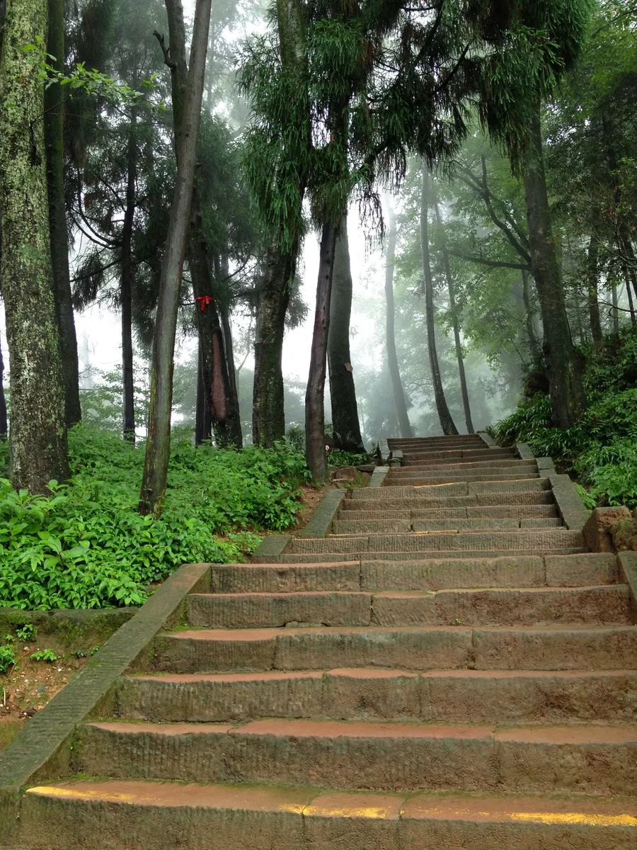 自为青城客，不唾青城地。为爱丈人山，丹梯近幽意~