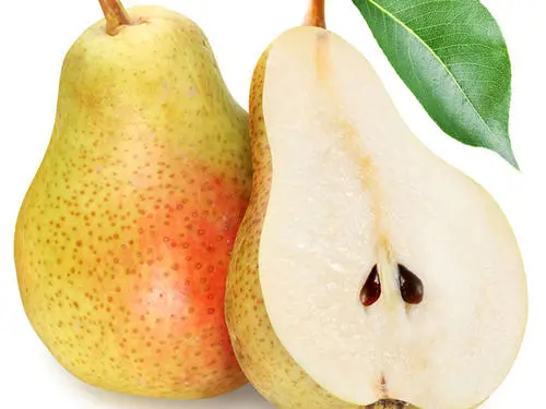 梨是凉性还是热性(它是冬季必吃水果，利咽、润肺、养肠道)