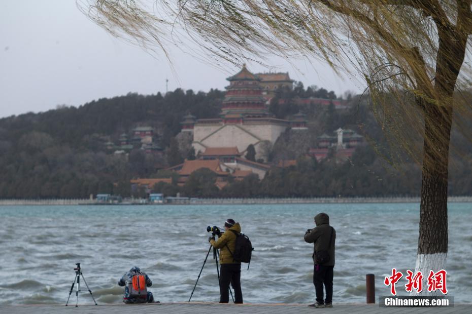 北京奥运会火炬传了多久(途经长城、颐和园，火炬传递开启！这些亮点你get了吗？)